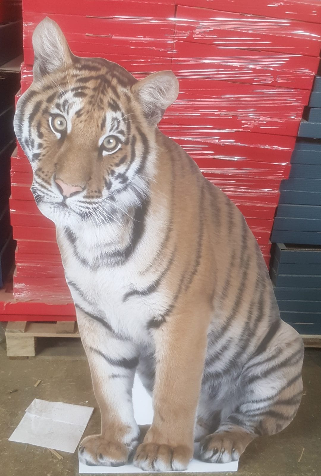 The Cardboard Cutout Company Personalised Life Size Cardboard Cutout